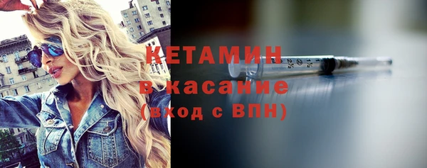 твердый Бородино