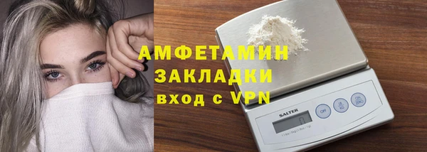 твердый Бородино