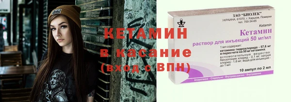твердый Бородино