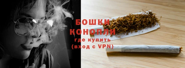 твердый Бородино