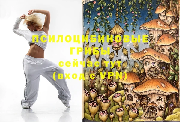 твердый Бородино
