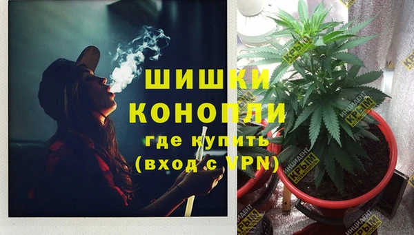 амф Бронницы