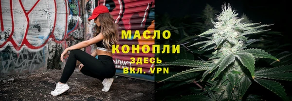 твердый Бородино