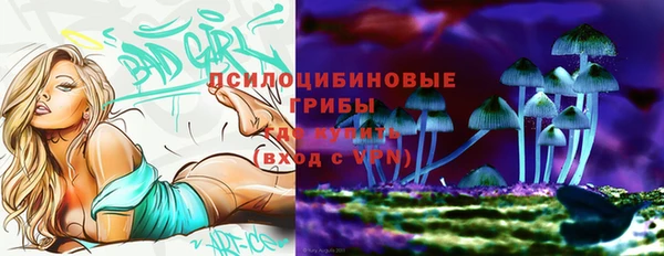 гашик Бугульма