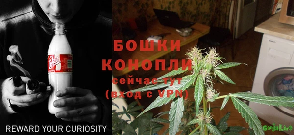 твердый Бородино