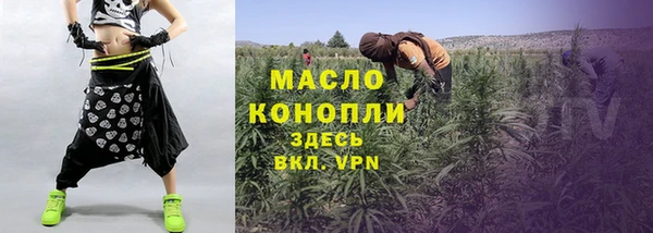 твердый Бородино