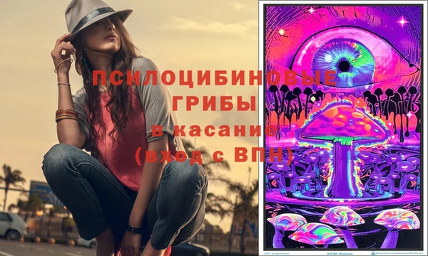твердый Бородино